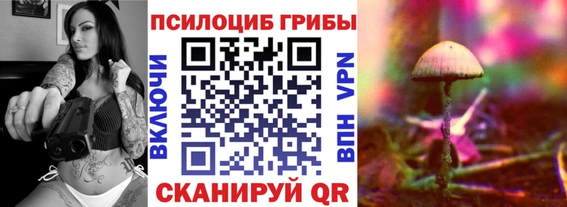 Псилоцибиновые грибы Psilocybine cubensis  Купить  Псков 